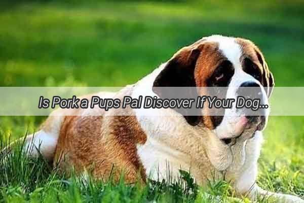 Is Pork a Pups Pal Discover If Your Dog Can Digest Pork Easily